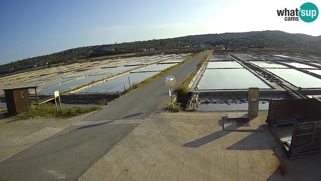 Seča – Panorama