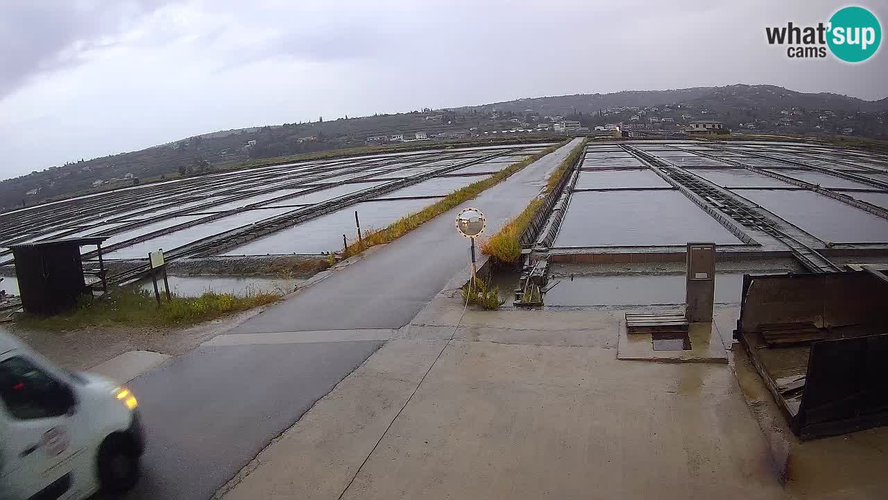 Sezza – Panorama e le saline