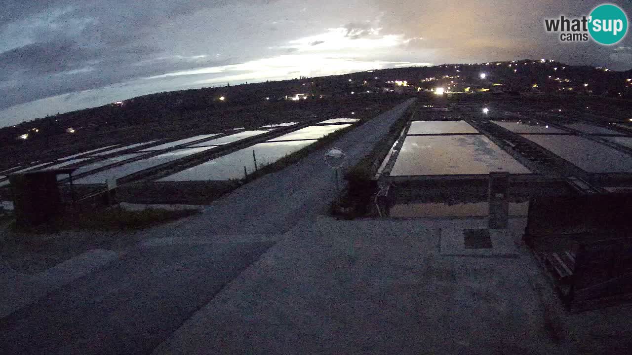 Sečovlje Salina Parque Natural