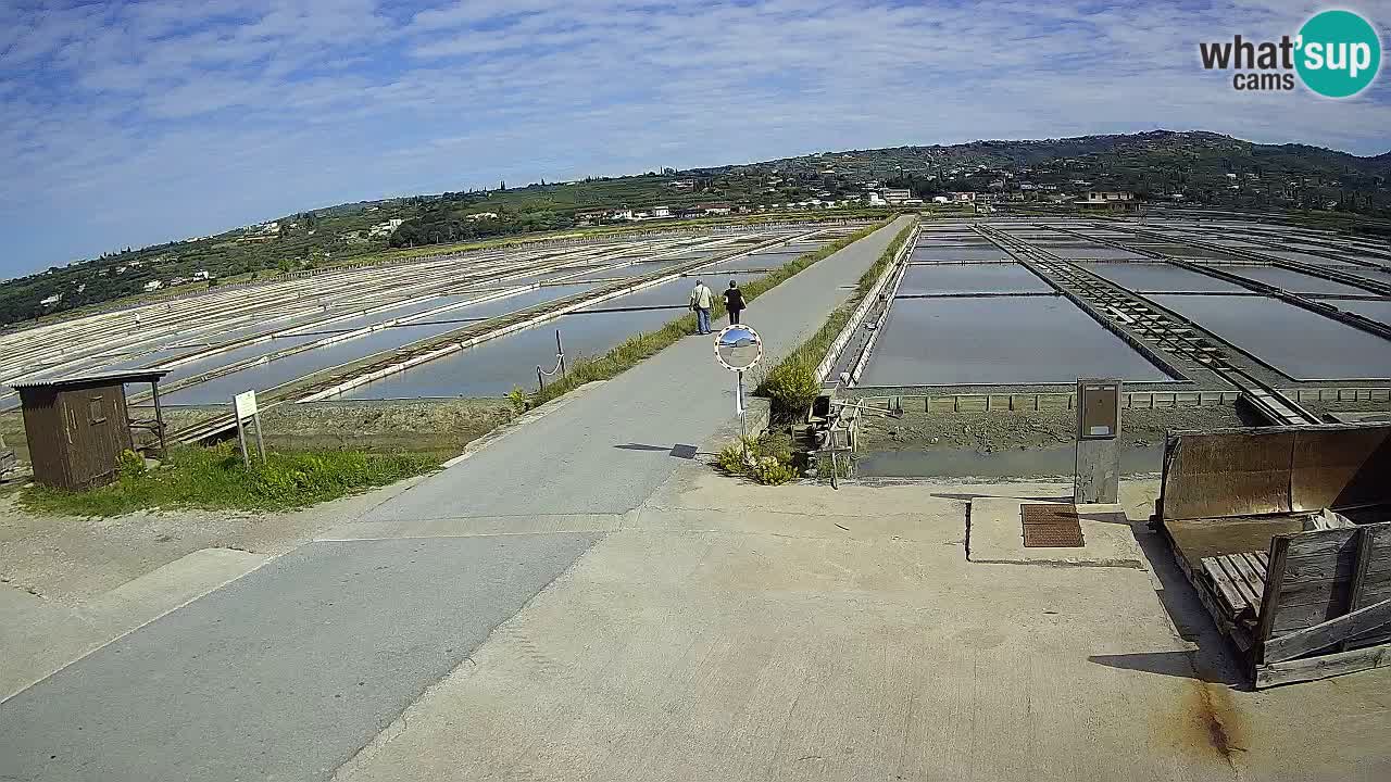 Sečovlje Salina Nature Park – KPSS
