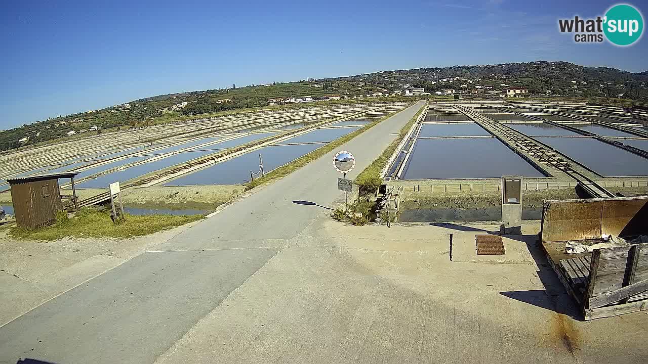Sezza – Panorama e le saline