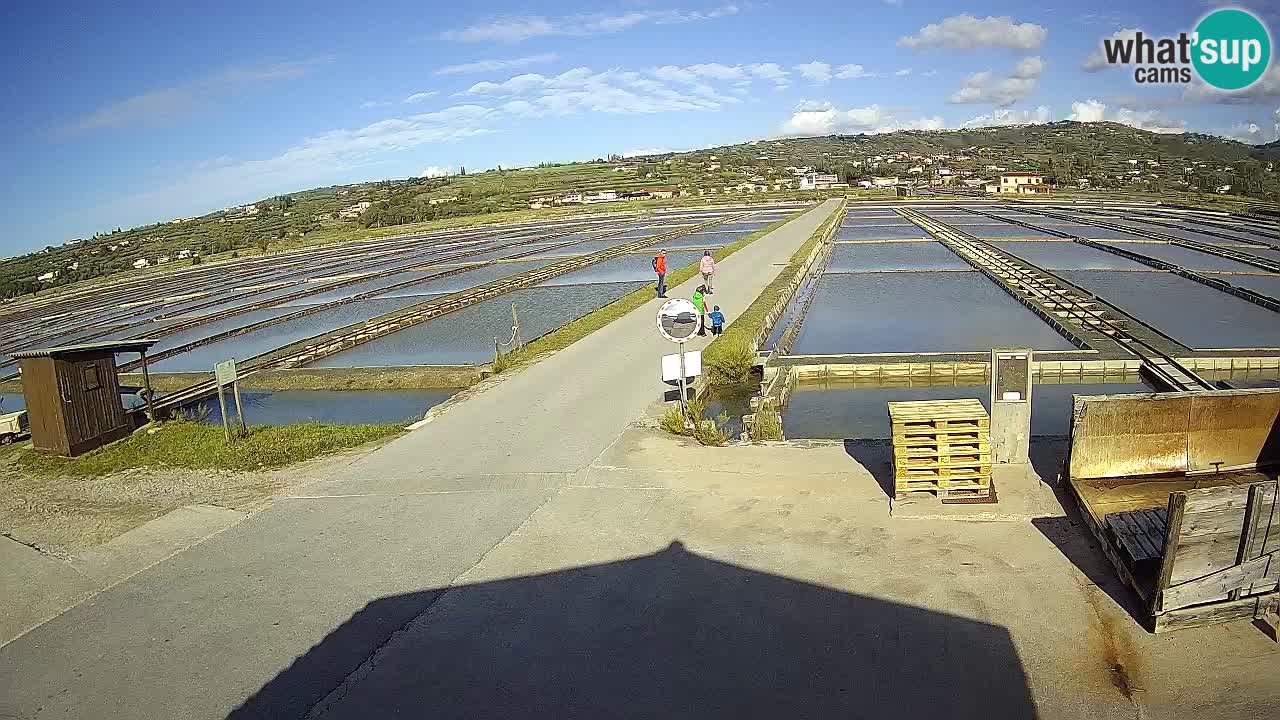 Sečovlje Salina Parque Natural