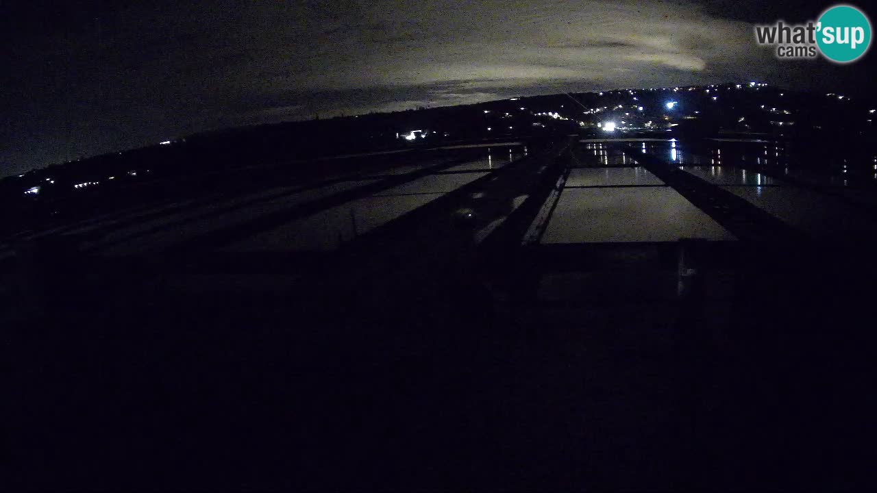 Naturpark der Salinen von Sečovlje