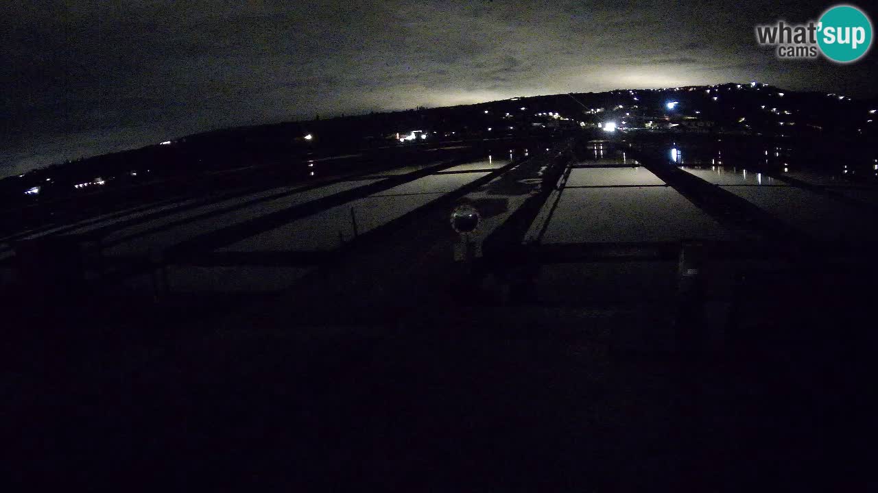 Seča – Panorama and Salina