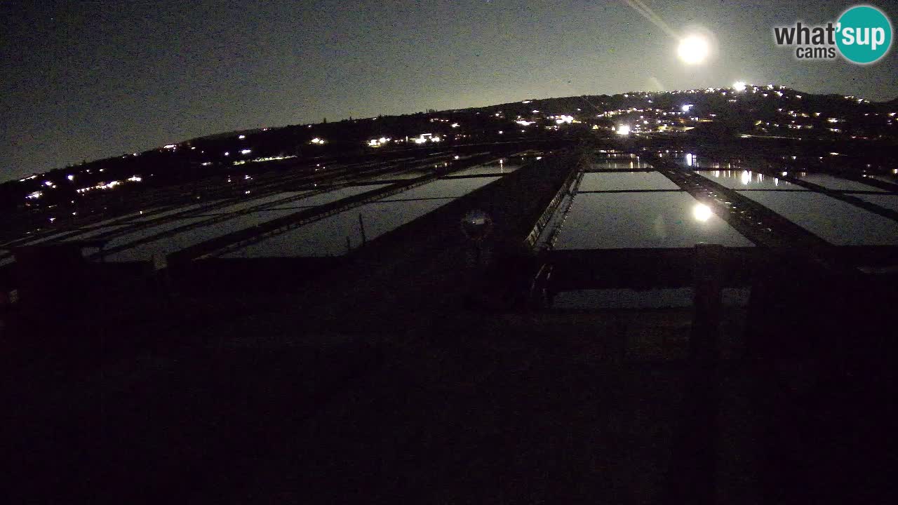 Parco Naturale Saline di Sicciole