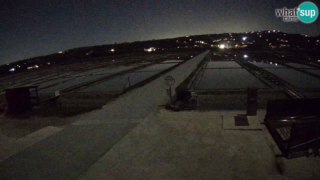 Sečovlje Salina Nature Park