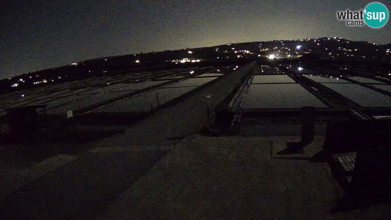 Sečovlje Salina Parque Natural