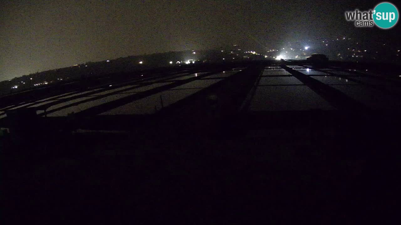 Naturpark der Salinen von Sečovlje