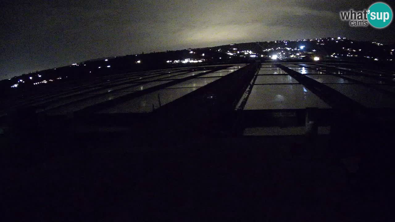 Krajinski Park Sečoveljske Soline