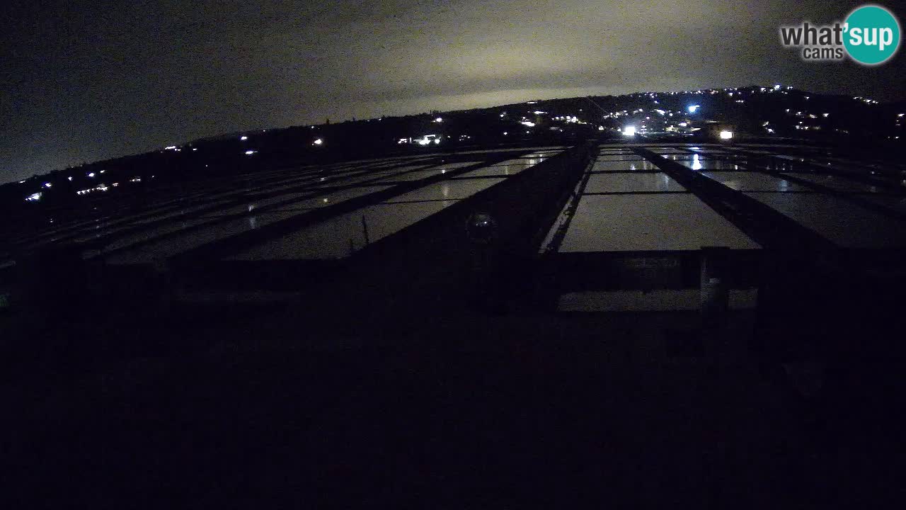 Sečovlje Salina Nature Park – KPSS