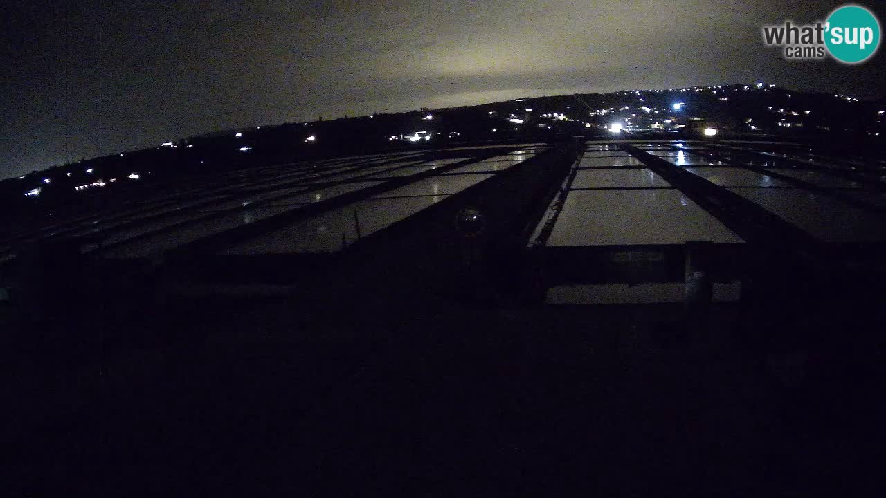 Park prirode Sečovlje Salina