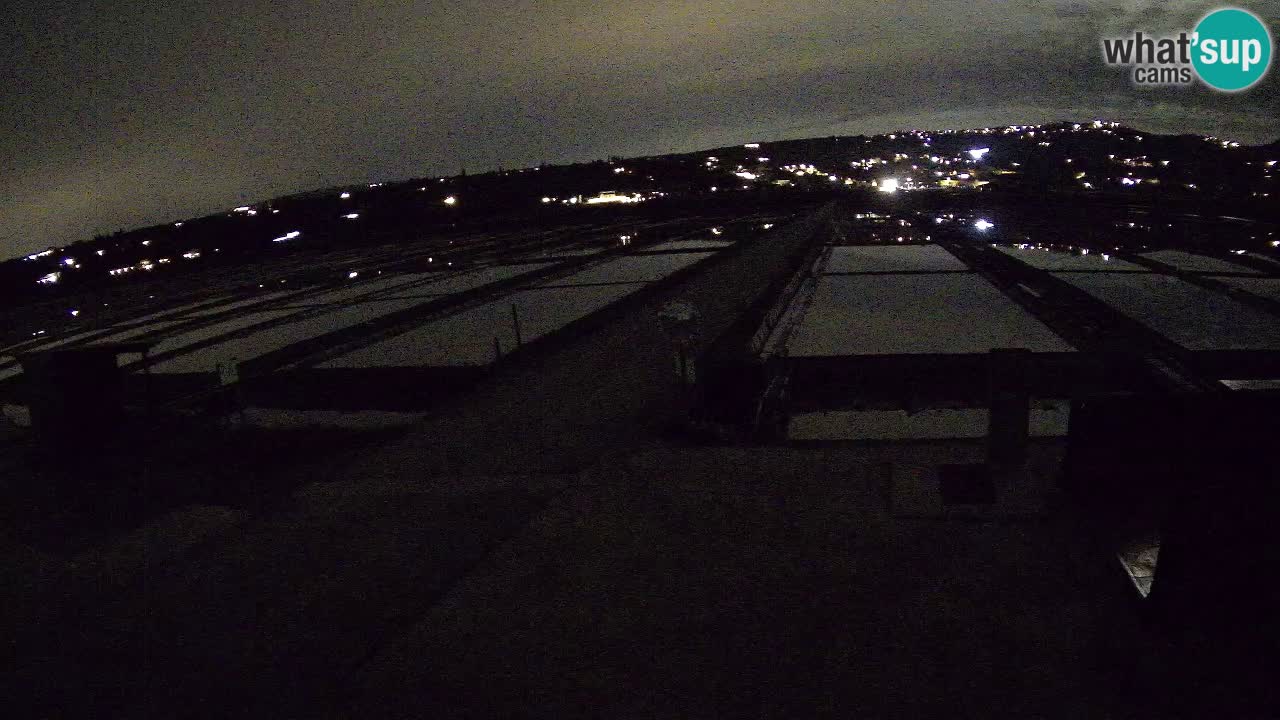 Seča – Panorama and Salina