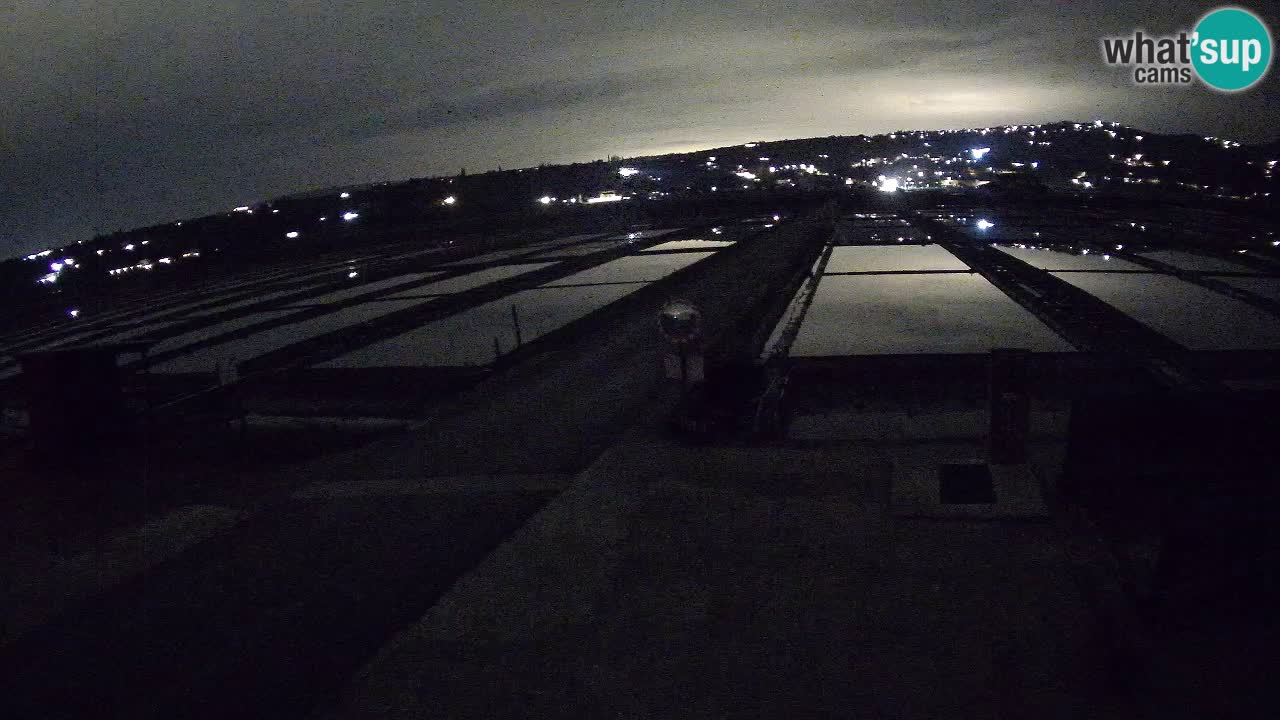 Seča – Panorama in soline