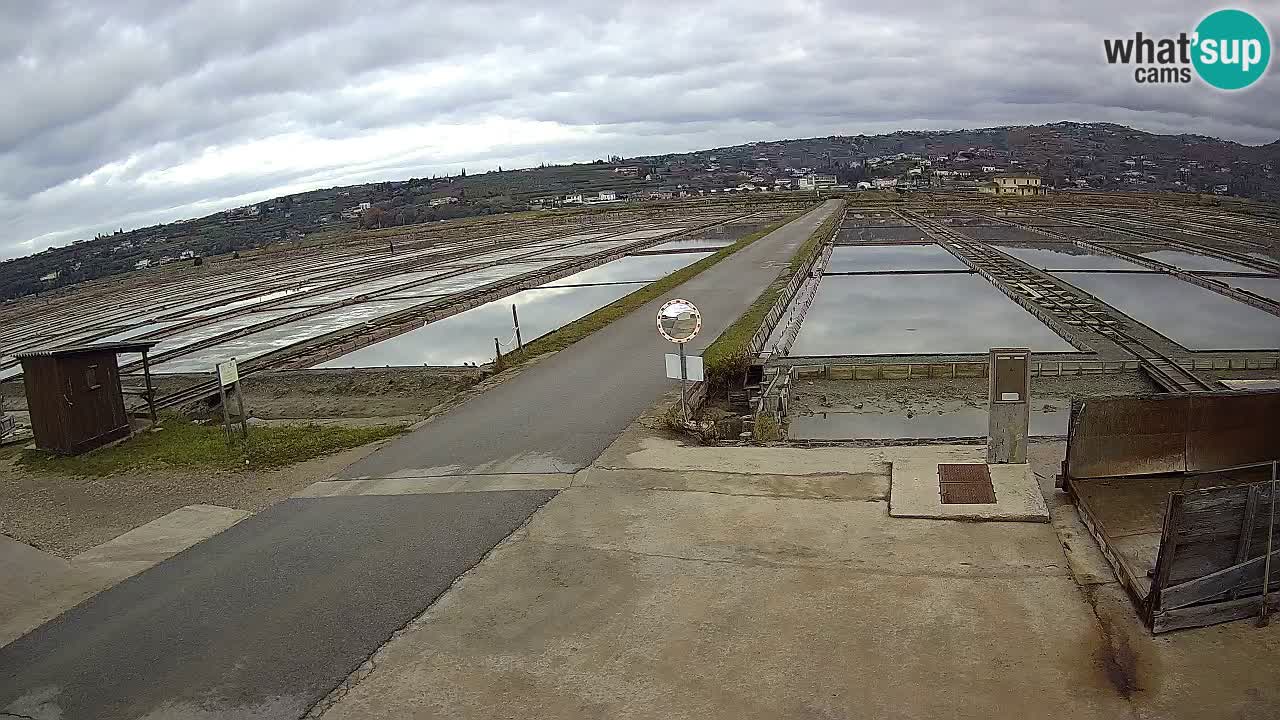 Sezza – Panorama e le saline