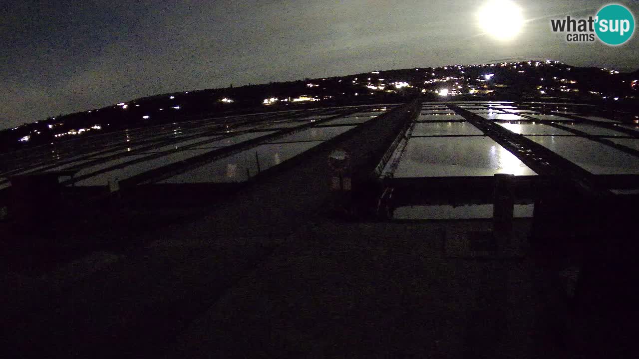 Sečovlje Salina Nature Park – KPSS