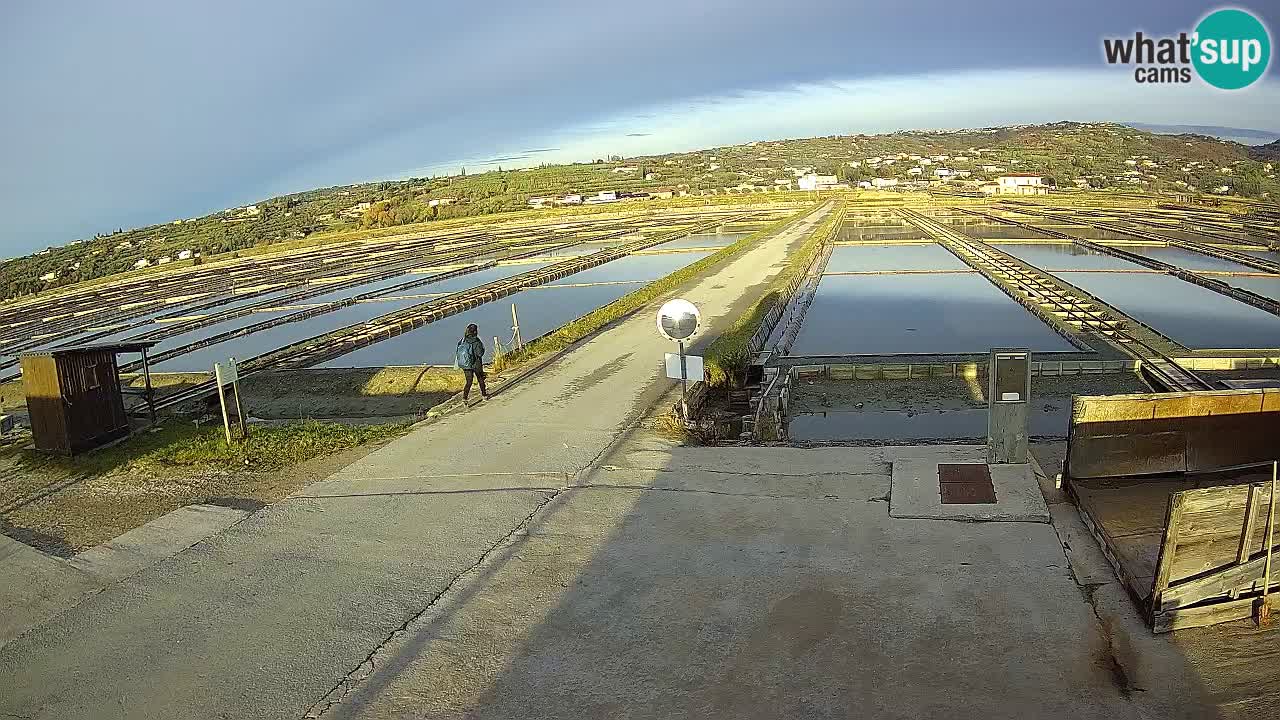 Sezza – Panorama e le saline