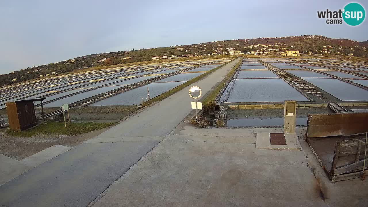 Park prirode Sečovlje Salina