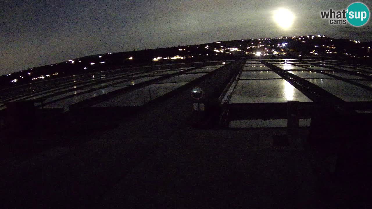 Sečovlje Salina Nature Park