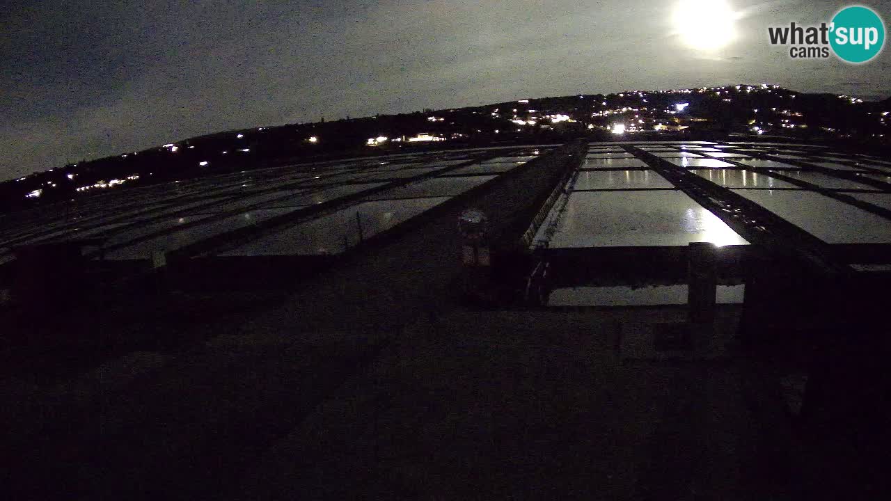 Krajinski Park Sečoveljske Soline