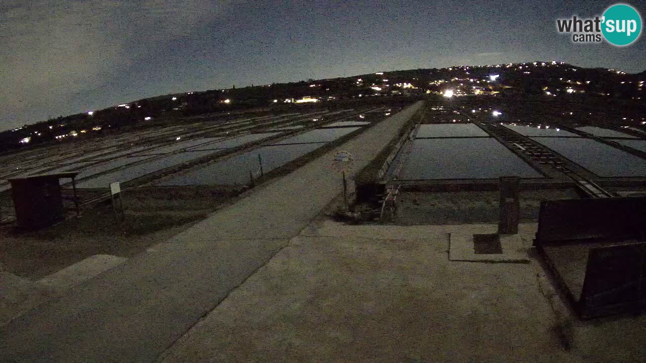 Sezza – Panorama e le saline