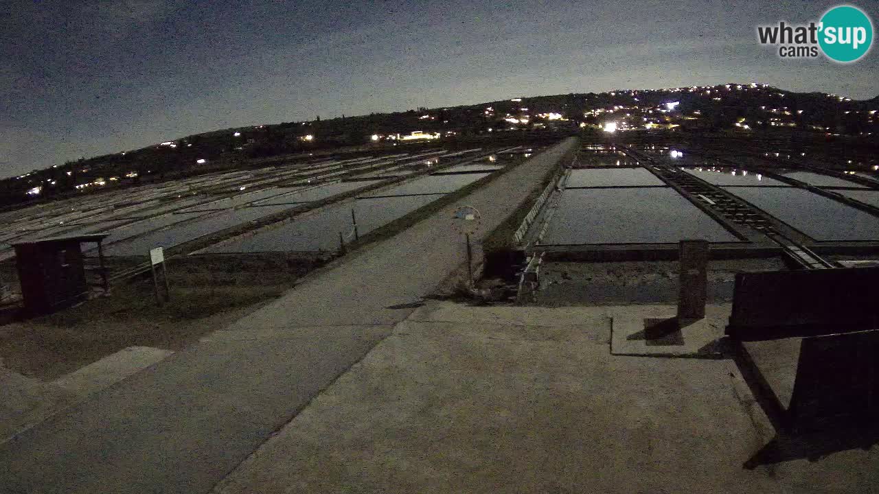 Sečovlje Salina Parque Natural