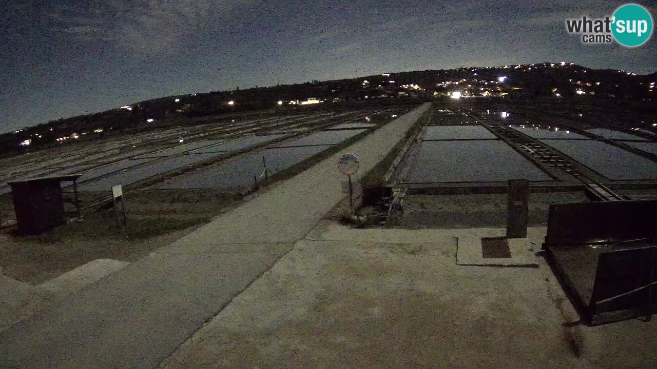 Parco Naturale Saline di Sicciole