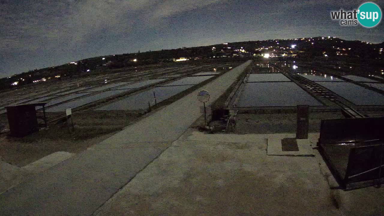 Seča – Panorama in soline