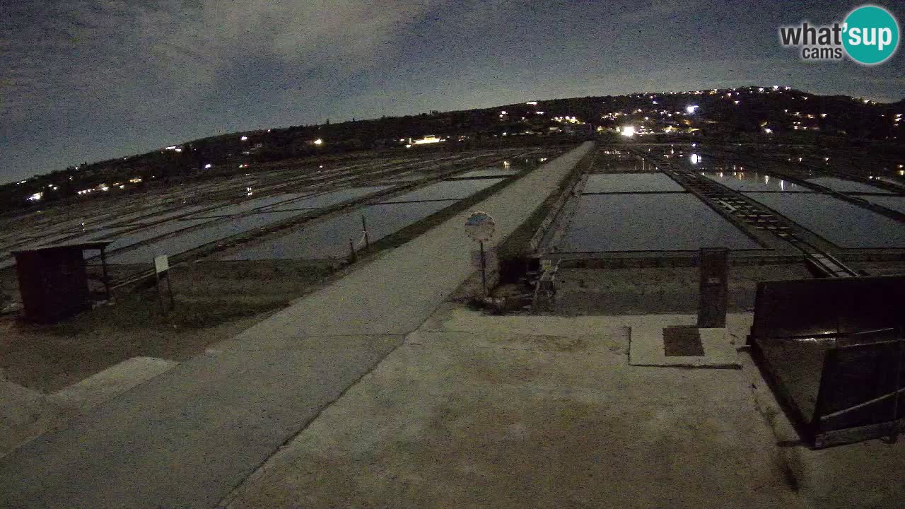 Krajinski Park Sečoveljske Soline