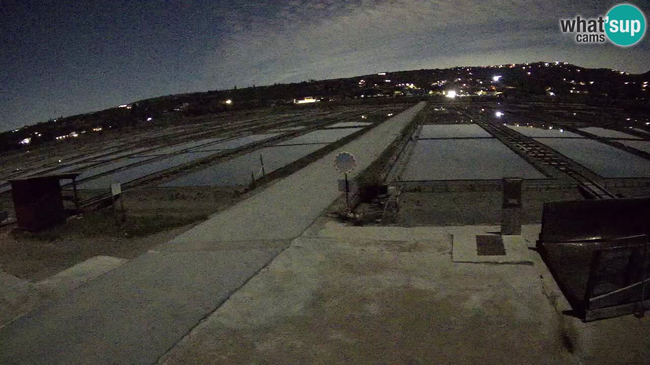 Parco Naturale Saline di Sicciole