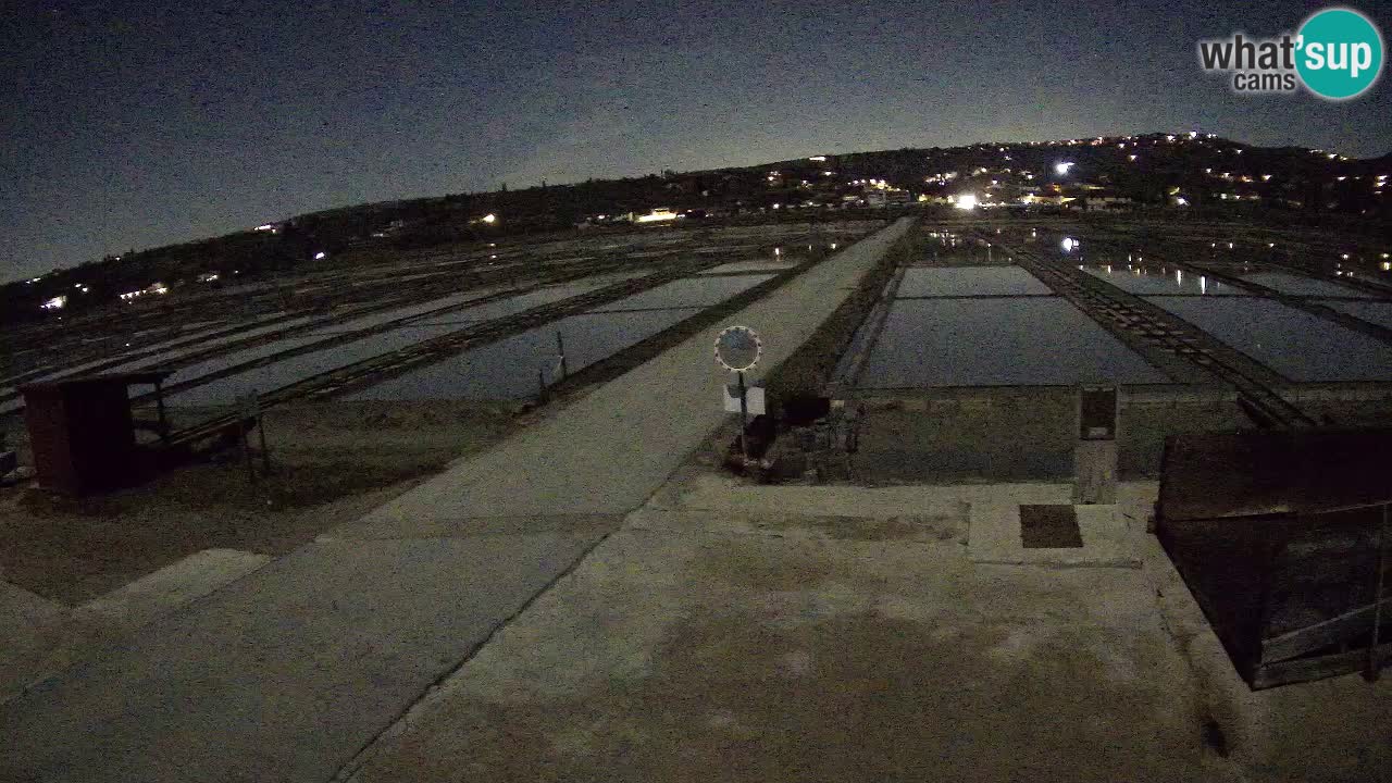 Sečovlje Salina Nature Park