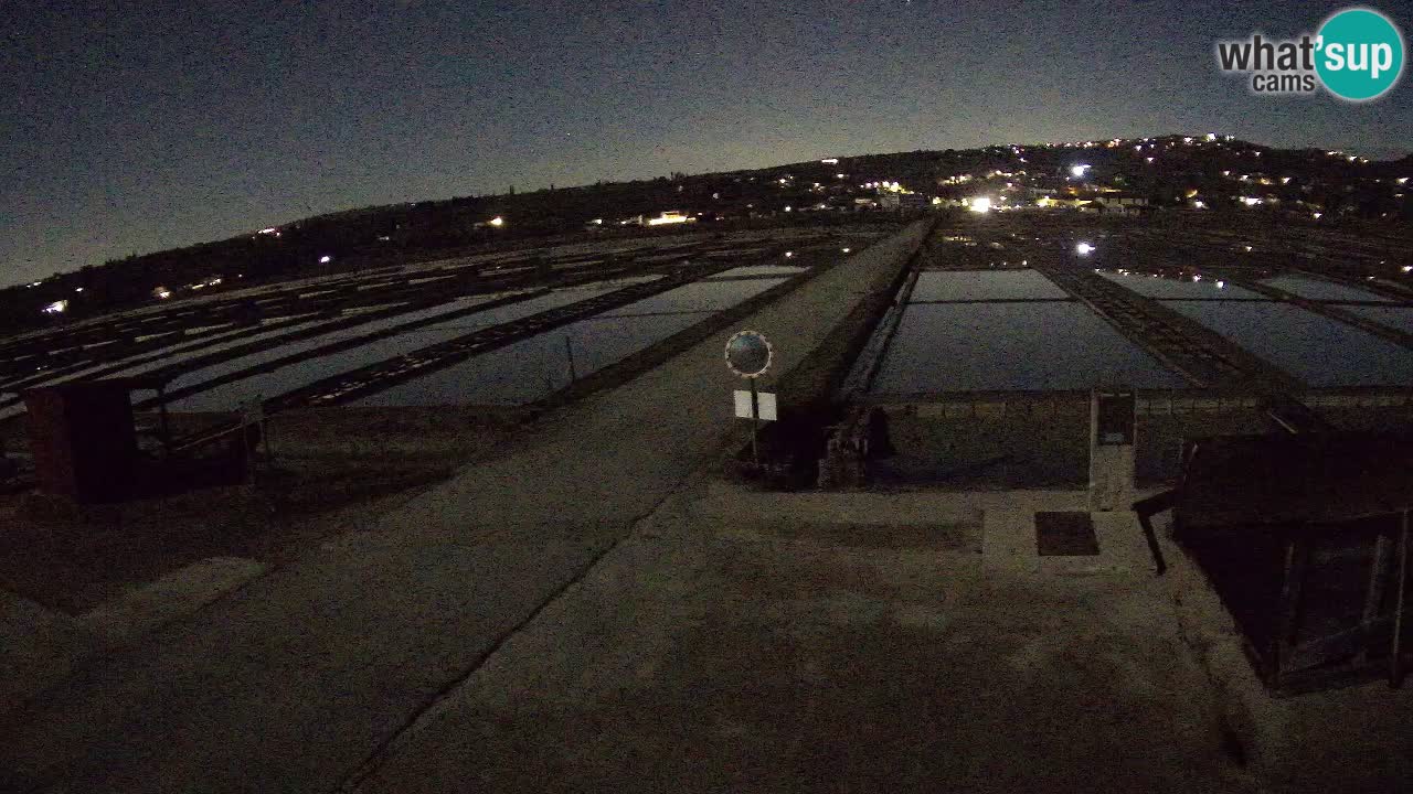 Sečovlje Salina Parque Natural