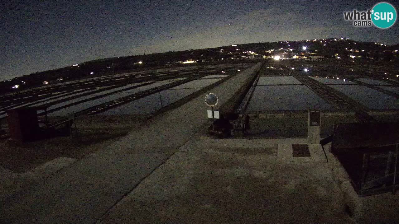 Seča – Panorama and Salina