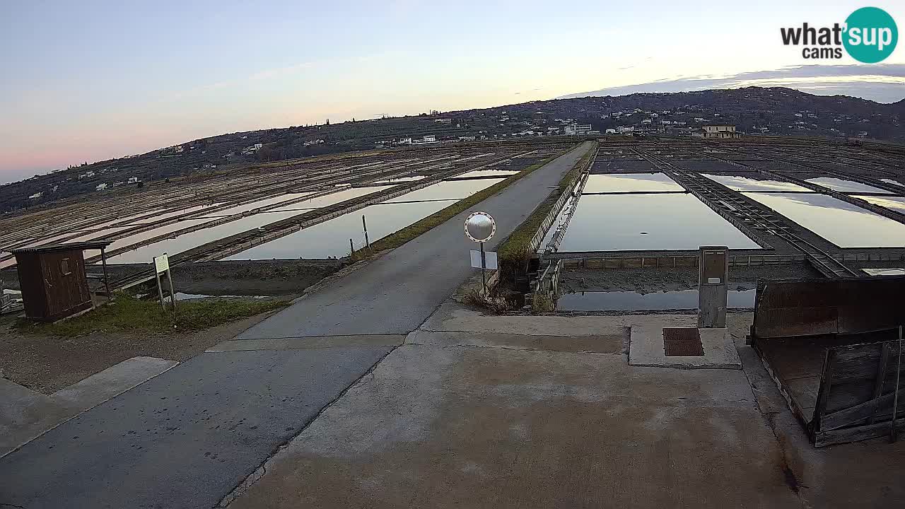 Park prirode Sečovlje Salina