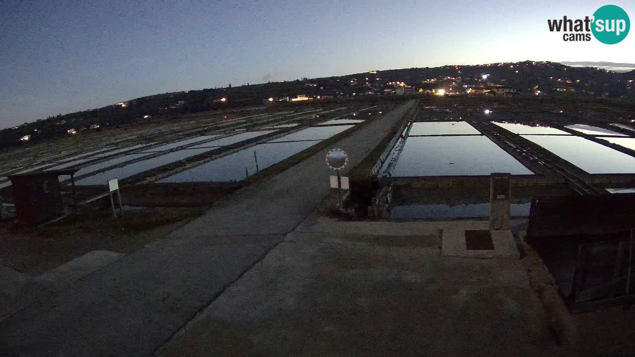 Parco Naturale Saline di Sicciole