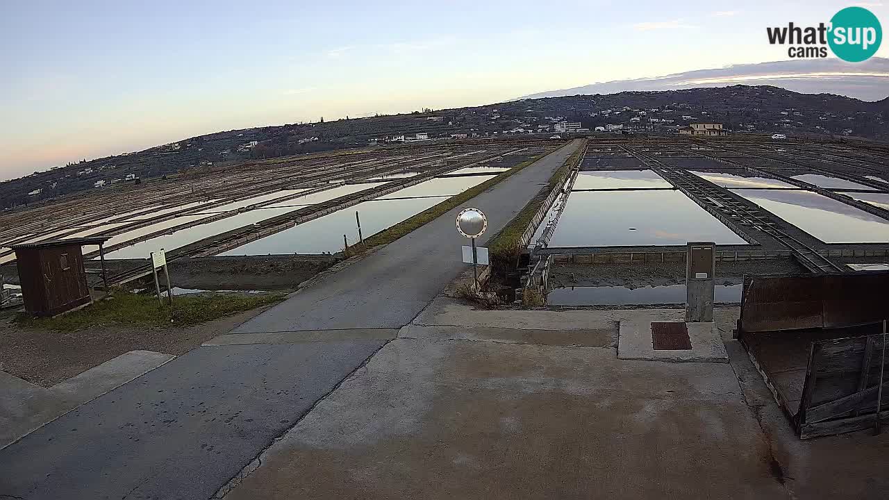 Sečovlje Salina Nature Park – KPSS