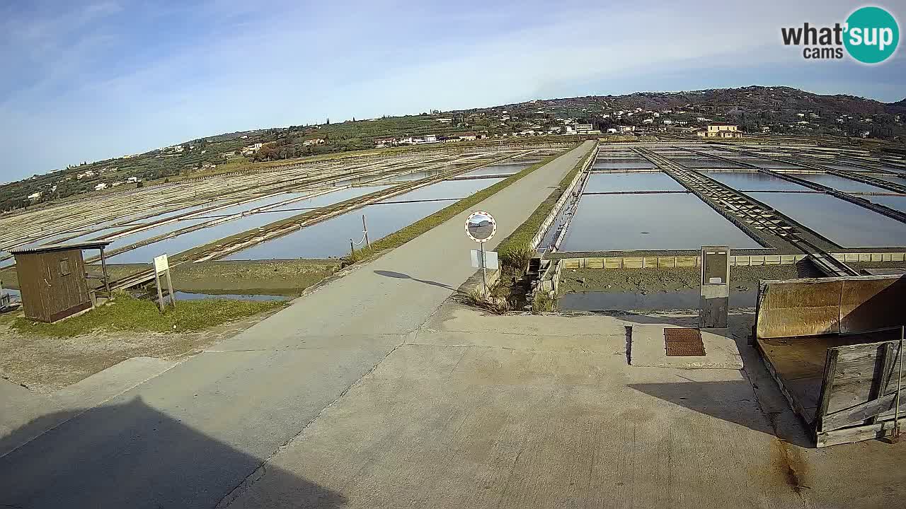 Park prirode Sečovlje Salina