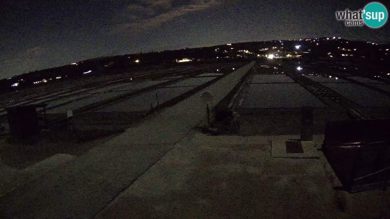 Parco Naturale Saline di Sicciole