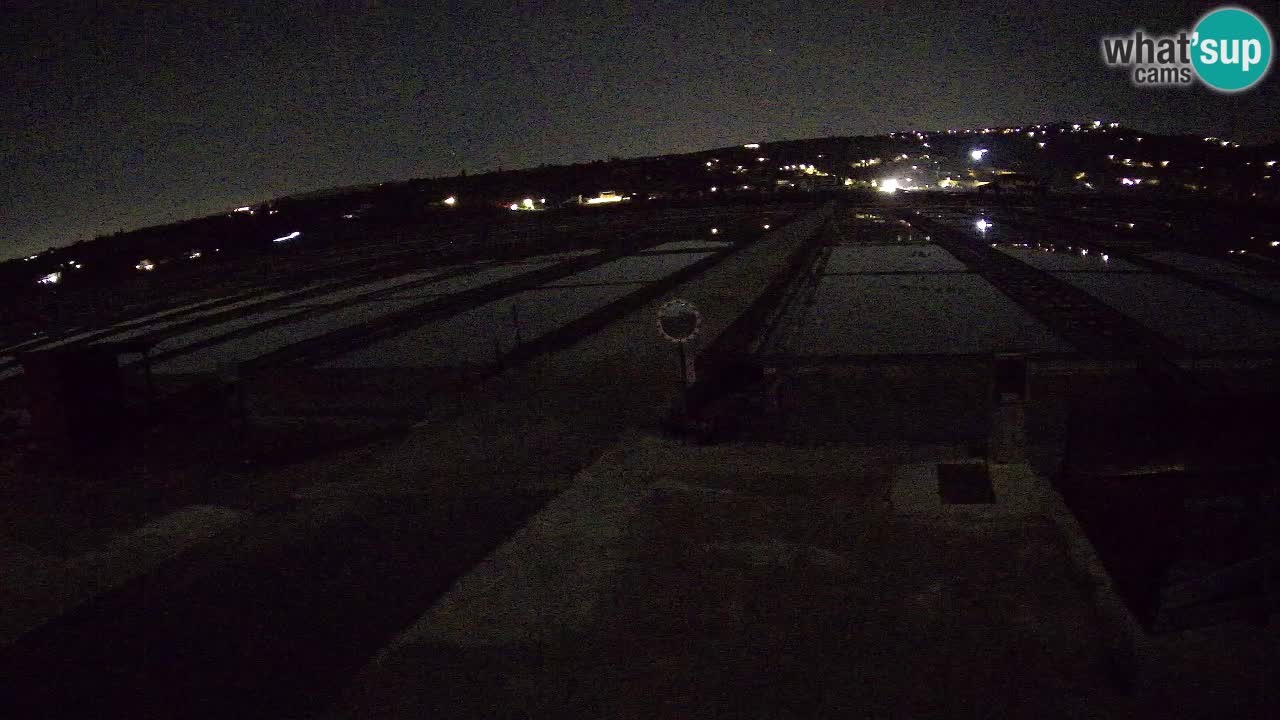 Sečovlje Salina Nature Park