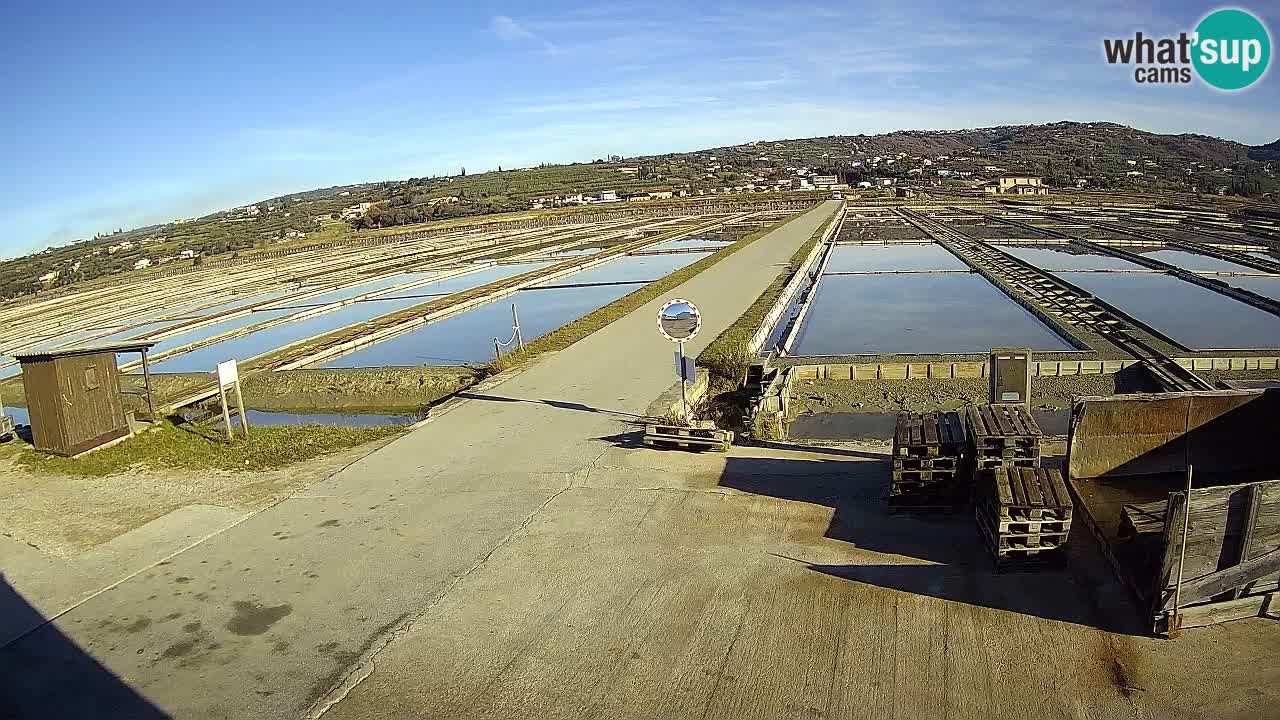 Seča – Panorama in soline