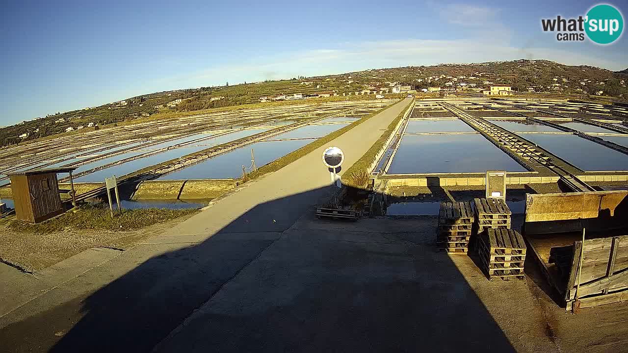 Sezza – Panorama e le saline