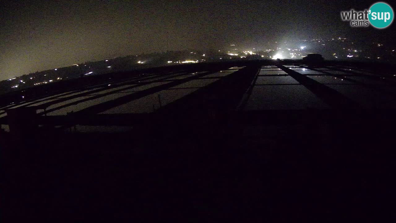 Seča – Panorama and Salina