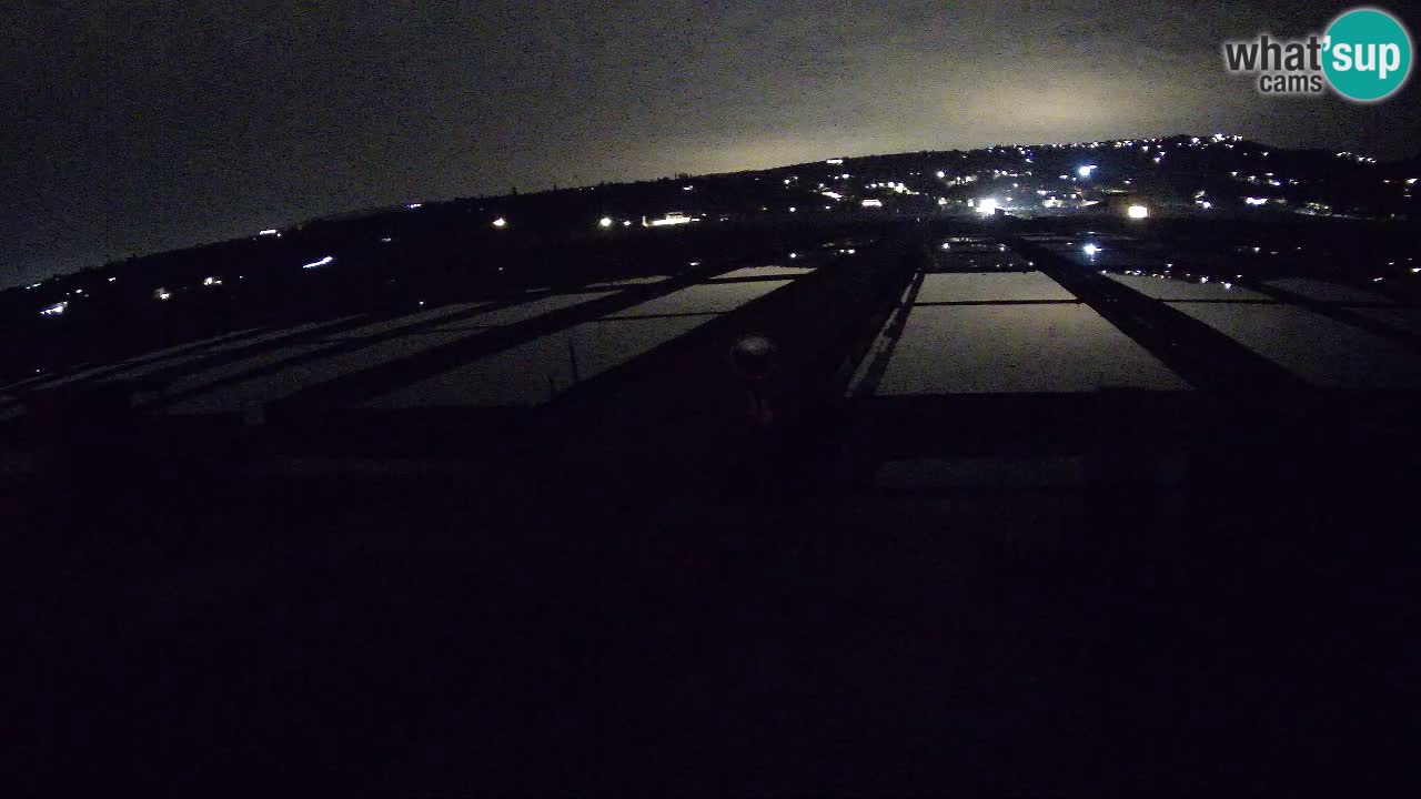 Sečovlje Salina Nature Park – KPSS