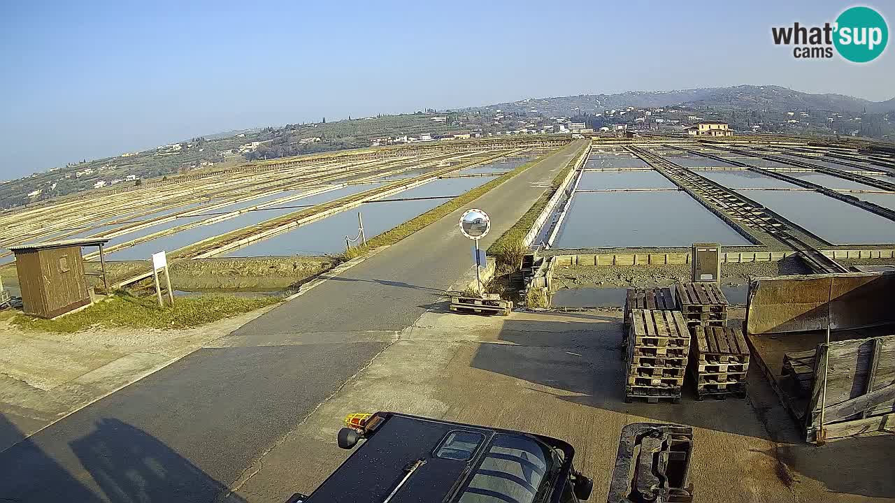 Seča – Panorama in soline