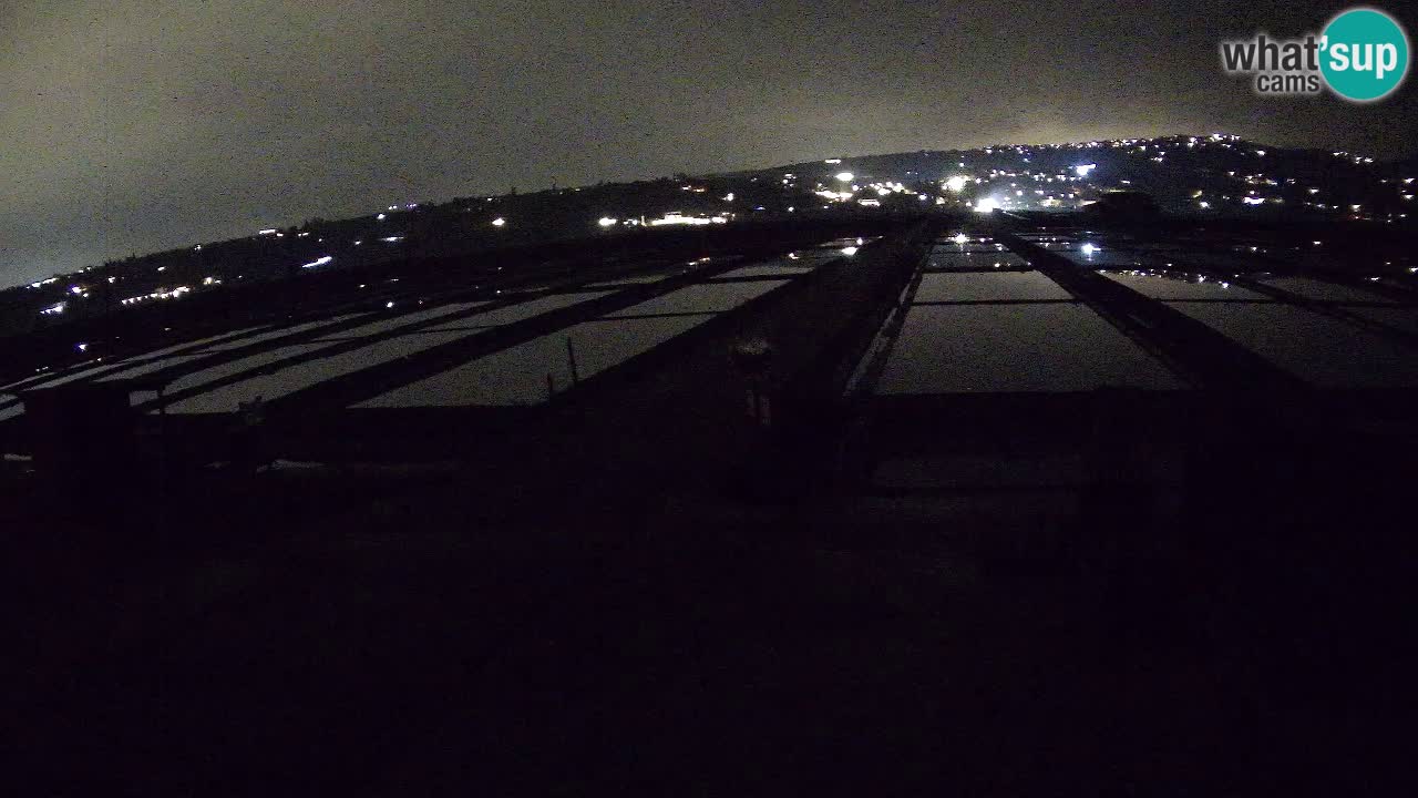 Seča – Panorama in soline