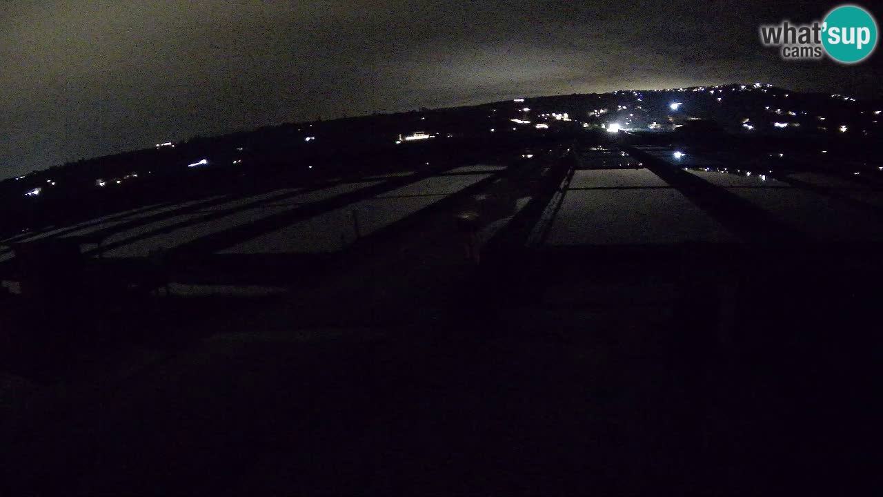 Seča – Panorama in soline