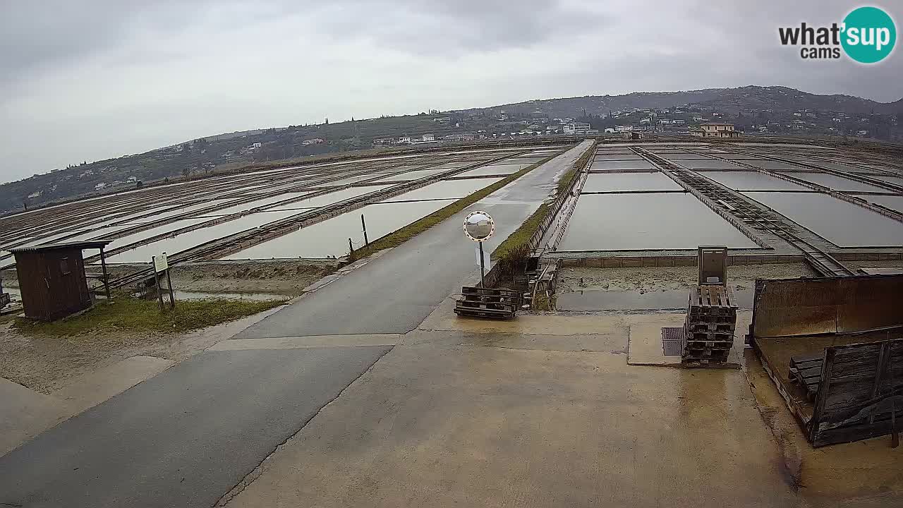 Sezza – Panorama e le saline