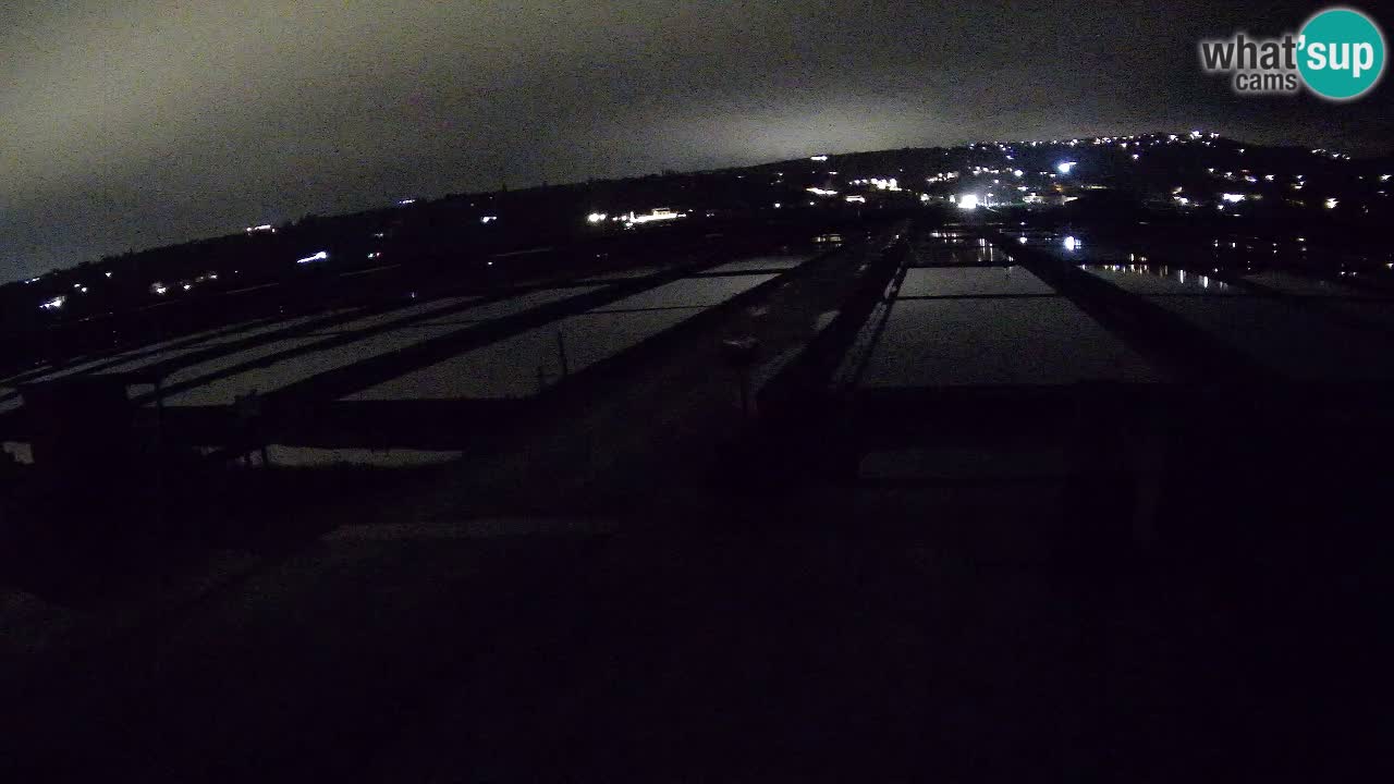 Seča – Panorama and Salina