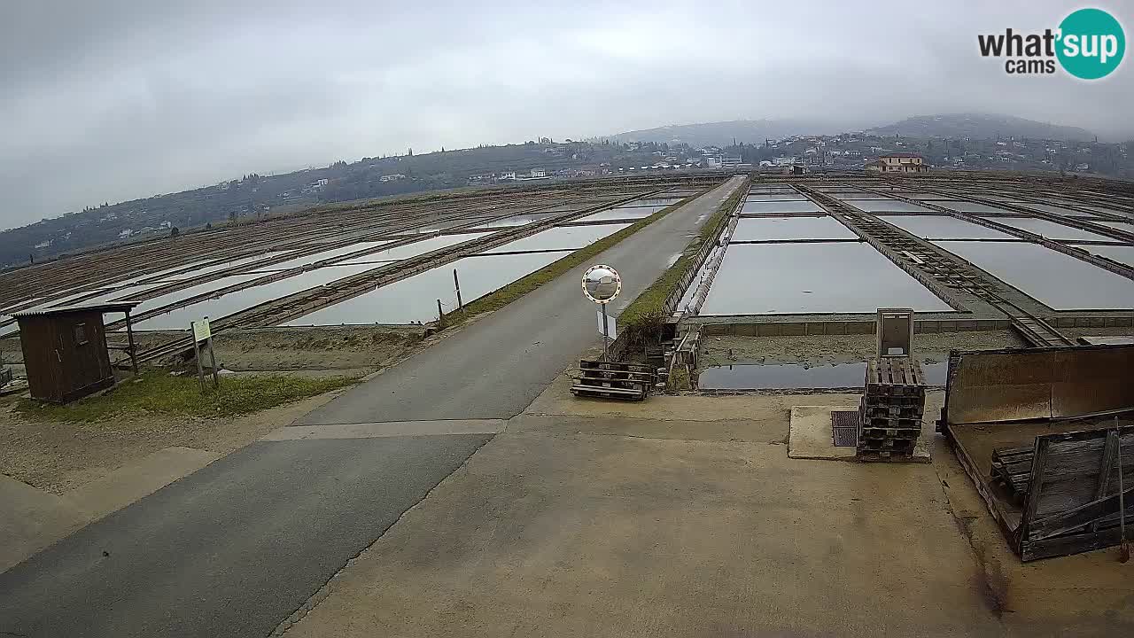 Sezza – Panorama e le saline