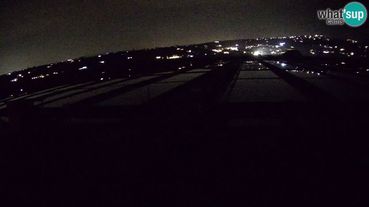 Seča – Panorama and Salina