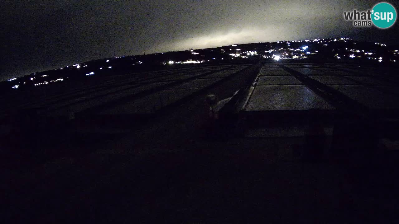 Sečovlje Salina Parque Natural